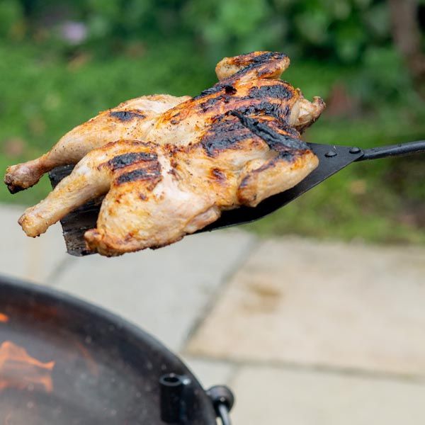 Moving Chicken On Fire Pit Paddle 