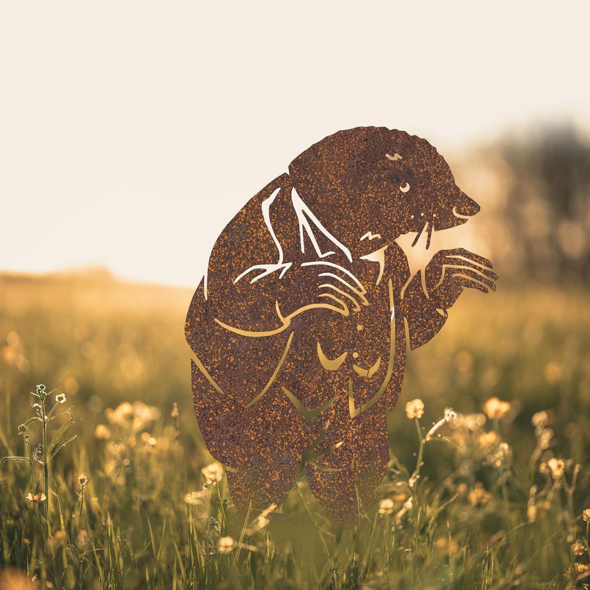 Mr Badger Silhouette in Situ in a Field