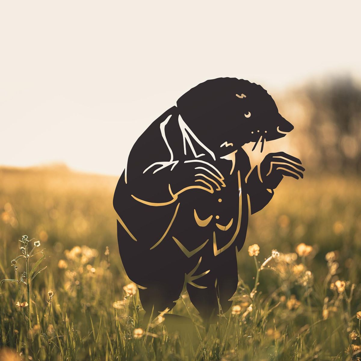 Mr Badger Silhouette in Situ in a Field