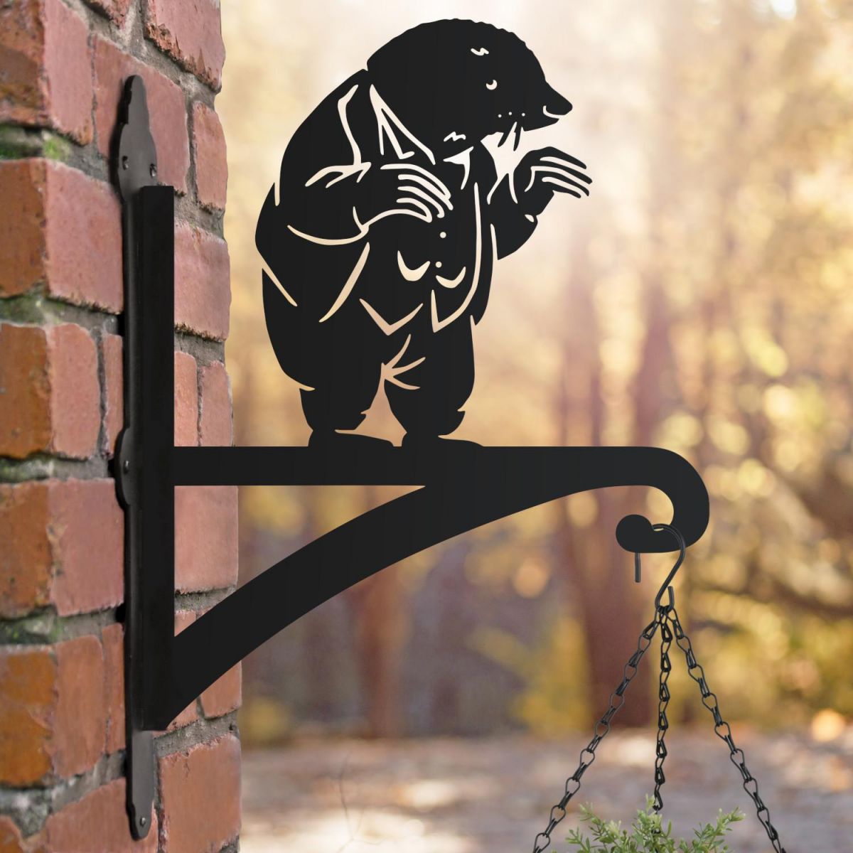 Mr Mole Hanging Basket Bracket in Situ