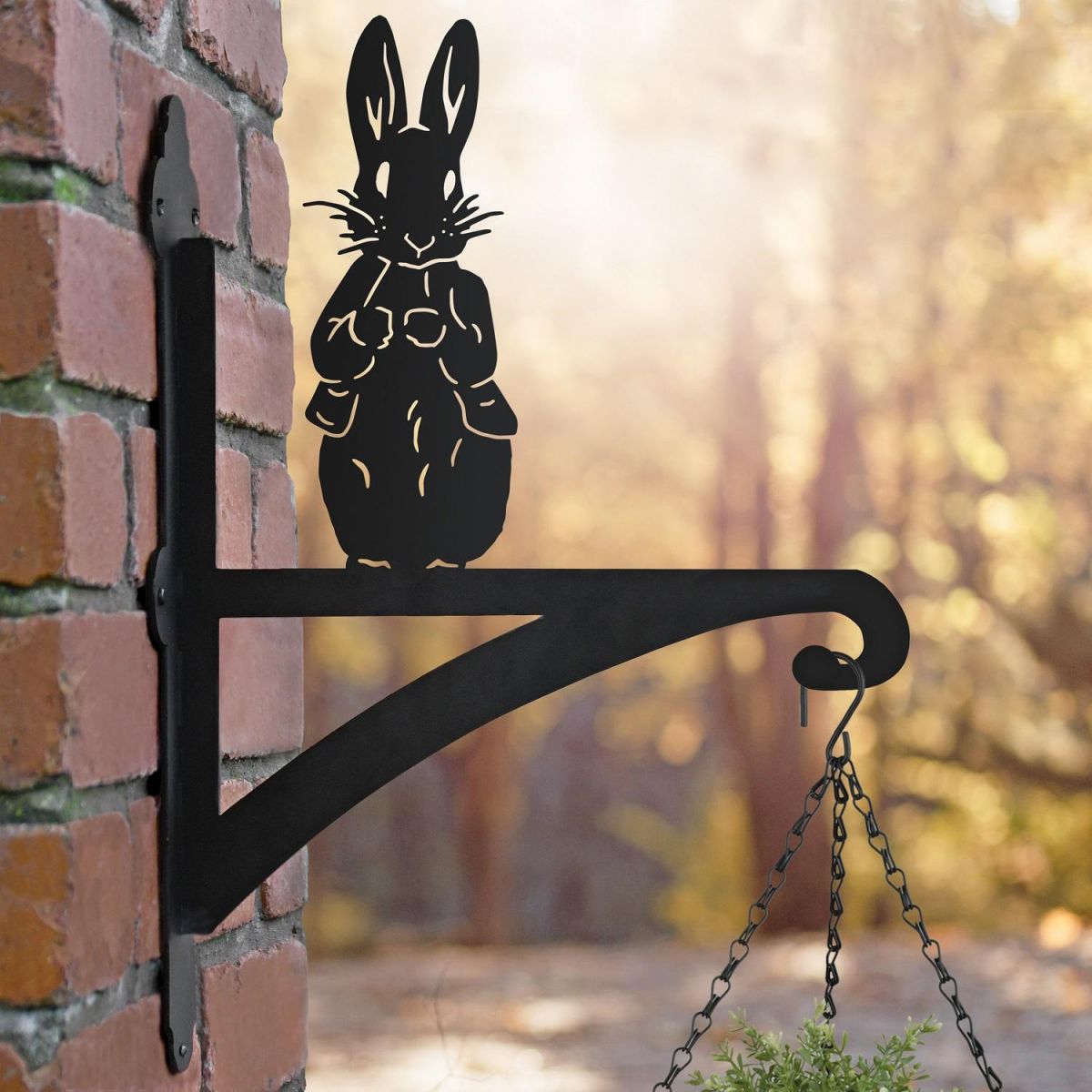 Peter Rabbit Hanging Basket Bracket in Situ Peter Rabbit Hanging Basket Bracket in Situ