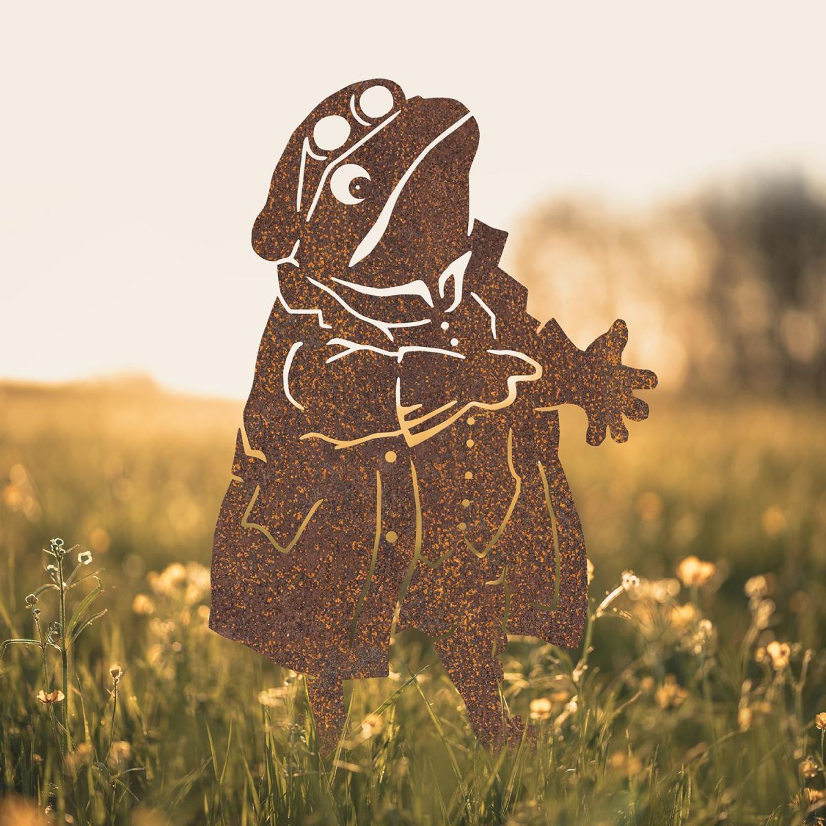 Mr Toad Silhouette in Situ in a Field