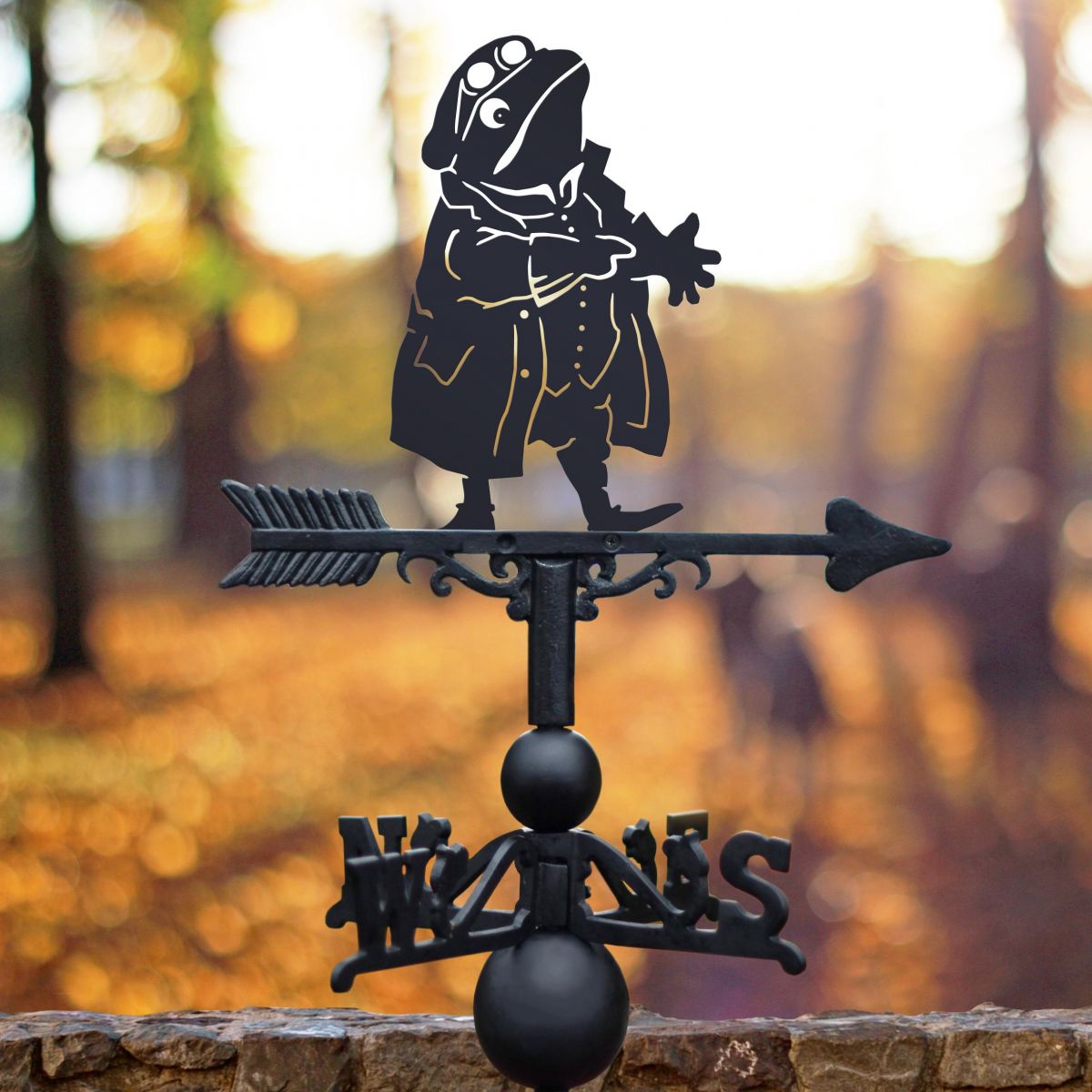 Mr Toad Weathervane in Use in the Garden