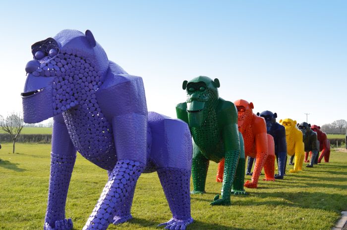 “Lord Greystoke” Stunning Silverback Gorilla