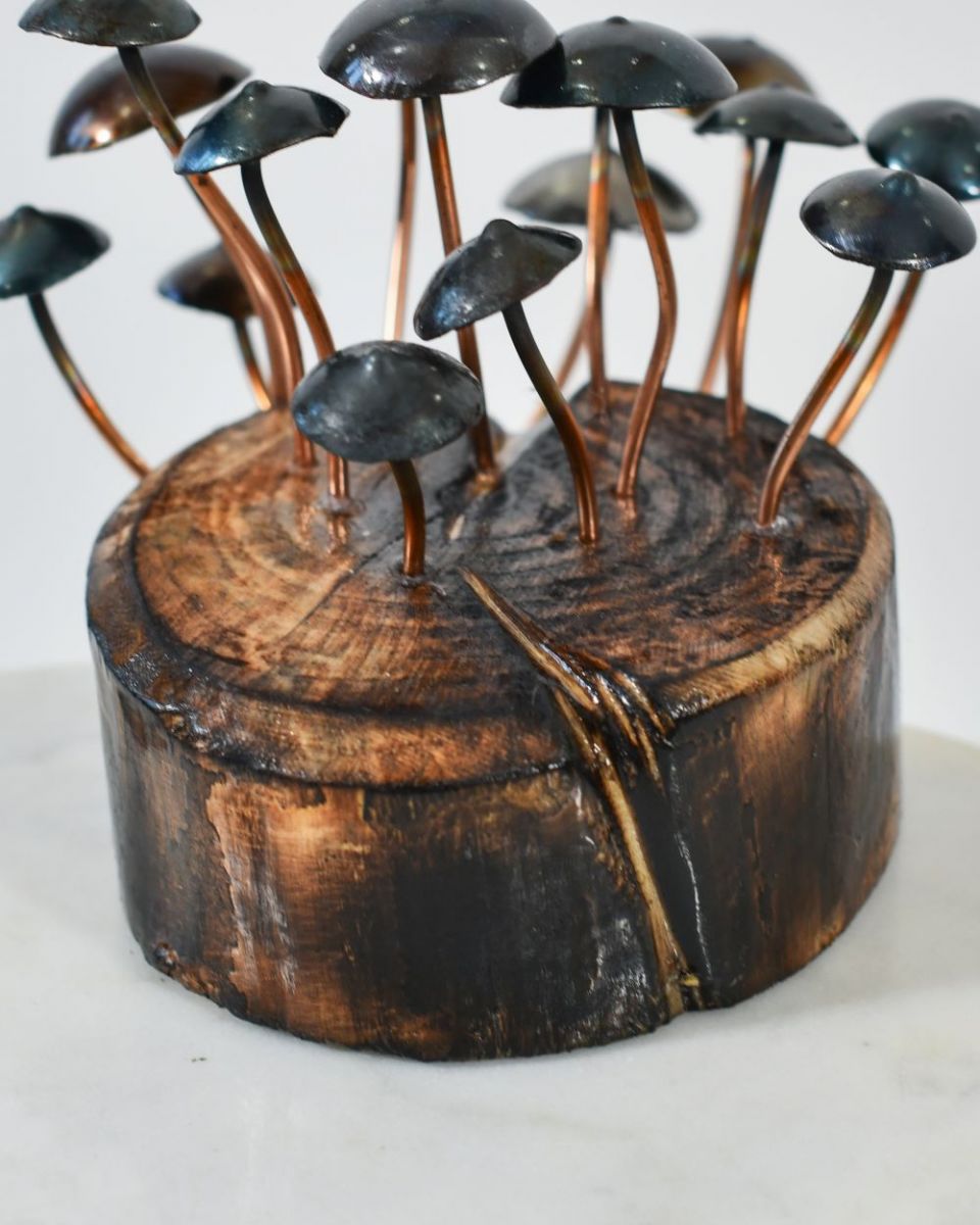 Close up of Mushroom Stump Sculpture base Close up of Mushroom Stump Sculpture base