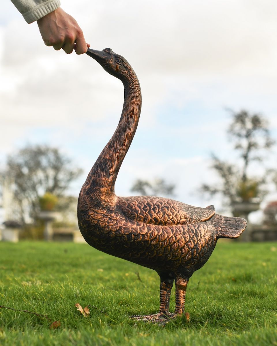 scale image of bronze swan detail scale image of bronze swan detail