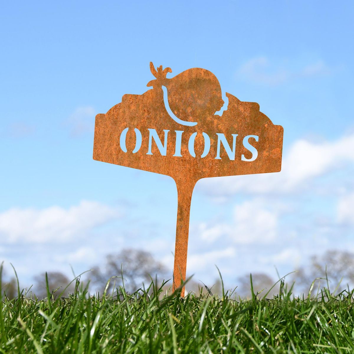 "Onions" Vegetable Label in Situ "Onions" Vegetable Label in Situ