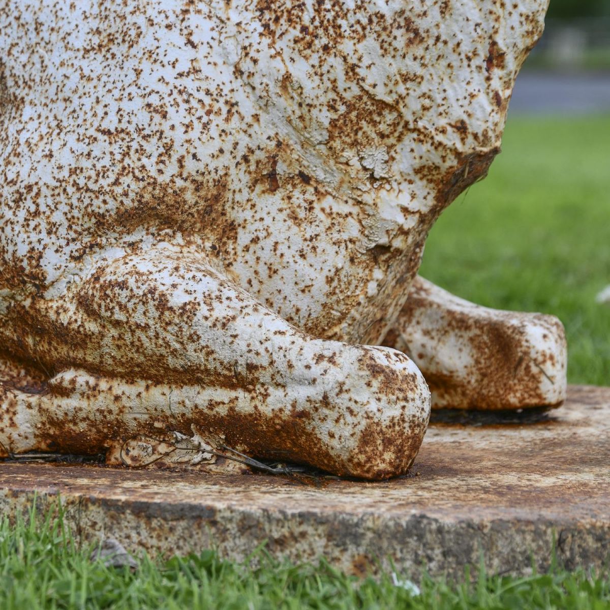 Close up of Cast Iron Rustic Cream finish on Stag Sculpture Close up of Cast Iron Rustic Cream finish on Stag Sculpture