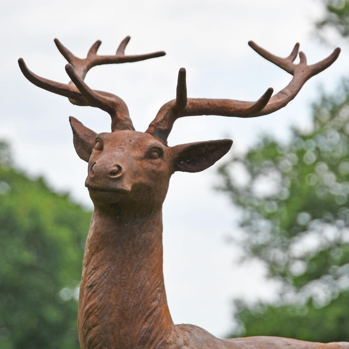 Close up of head on Cast Iron Stag Sculpture 