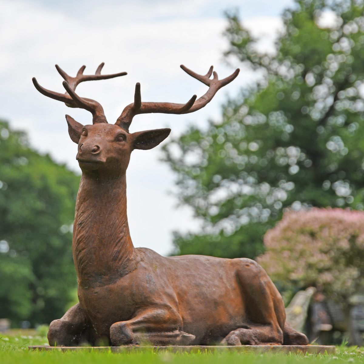 “Elkin” Beautiful Stag Laying Down Created in Iron - Facing Left in Situ in the Garden