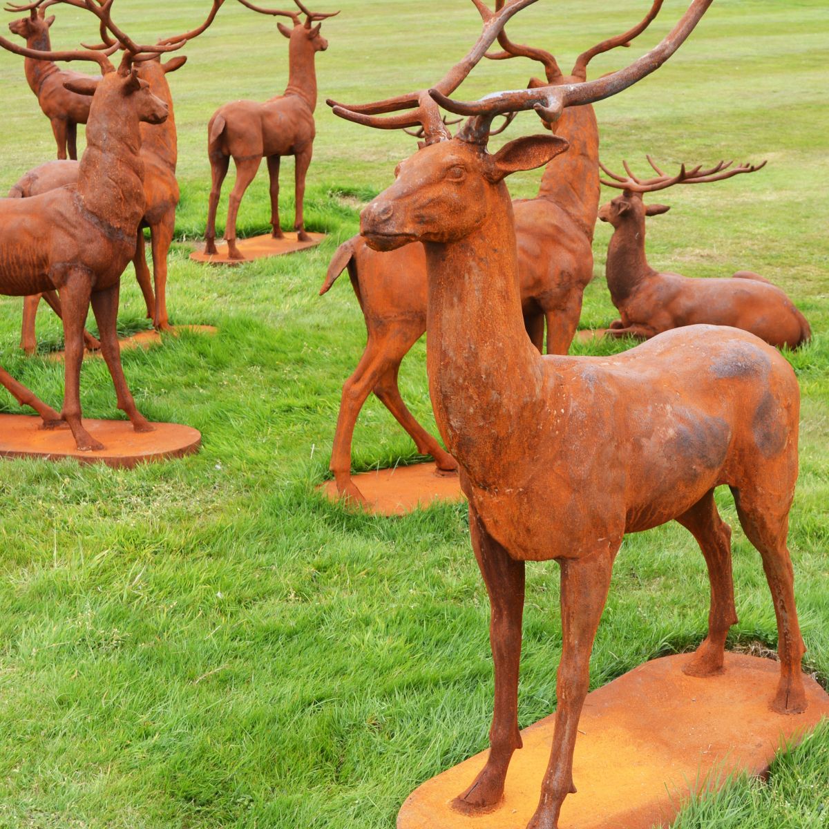 Hear of Highland ELkin Stag Sculptures