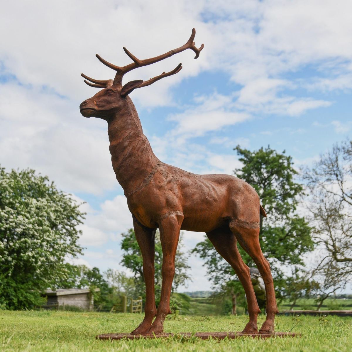  "Zekin” Cast Iron Stag - Facing Forward in Garden 