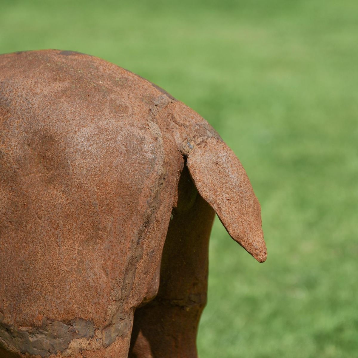 Rear view of Stag Tail 