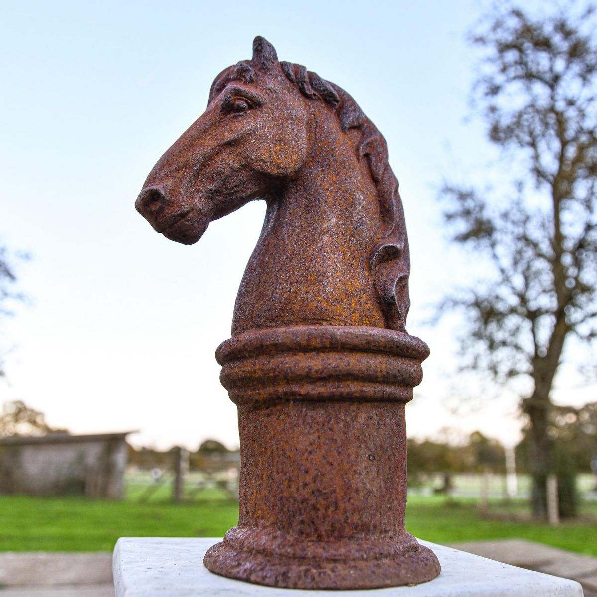 Horse Head Bust with Pedestal  Horse Head Bust with Pedestal