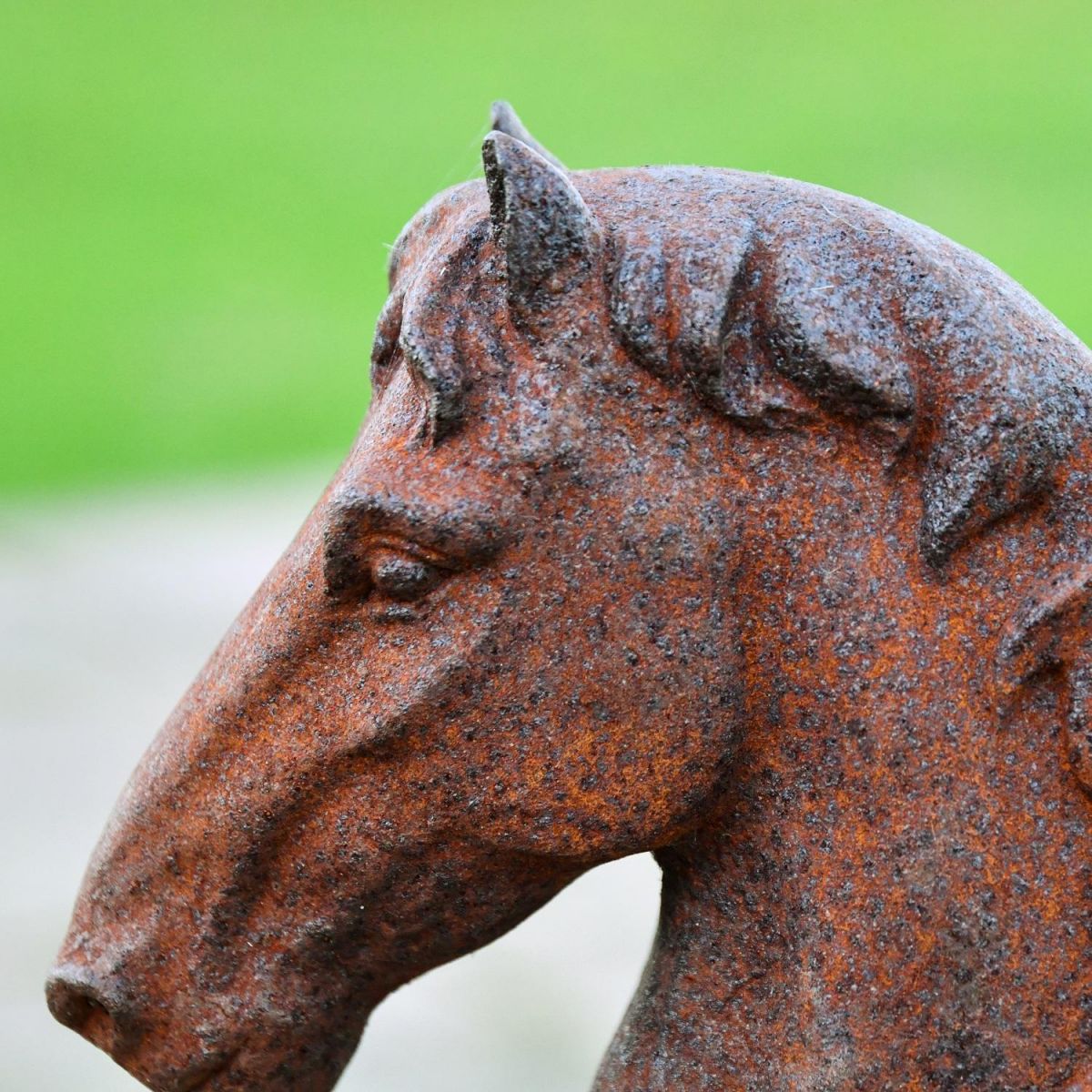 Close up of Horse Head Bust  Close up of Horse Head Bust