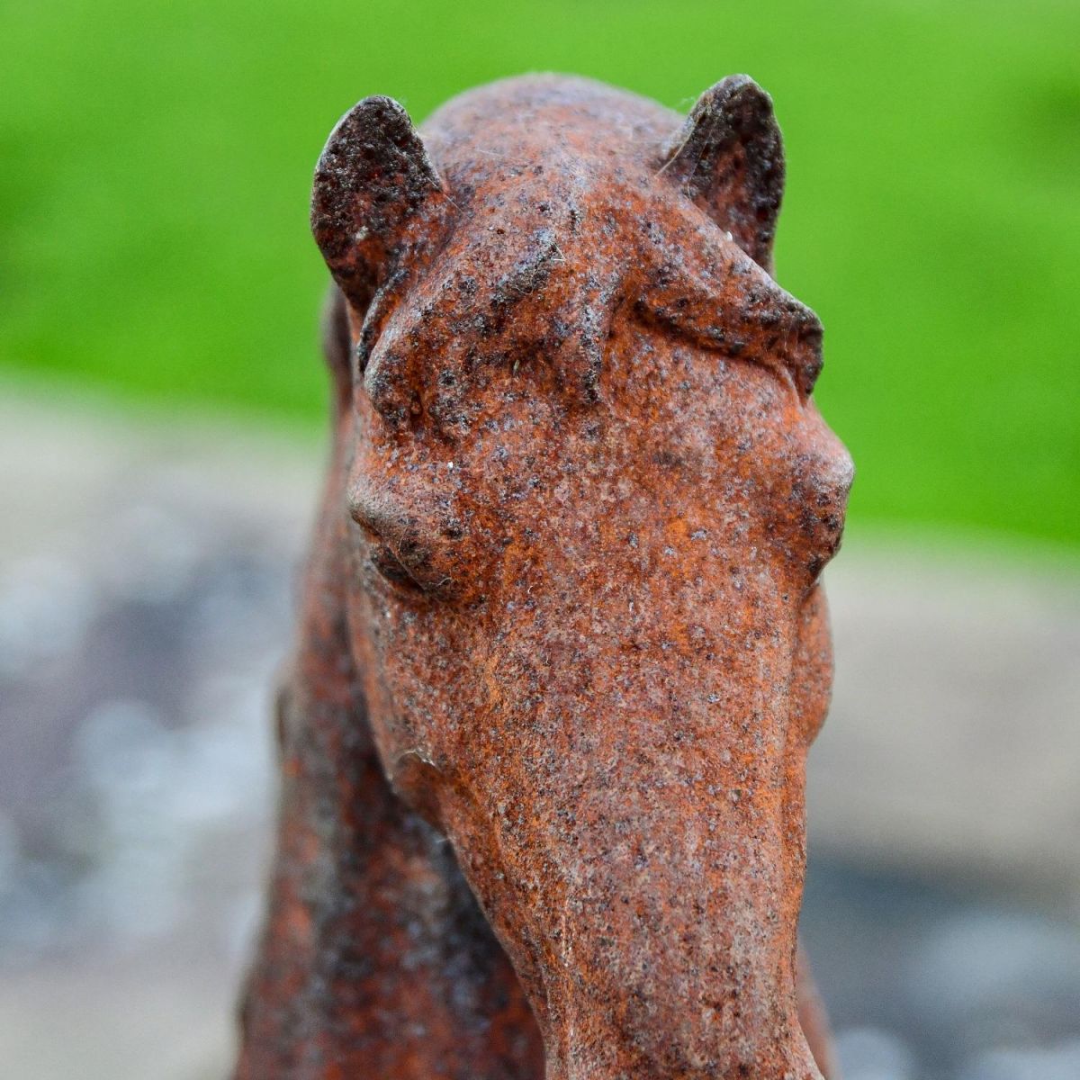 Close up of Cast Iron Horse Head  Close up of Cast Iron Horse Head
