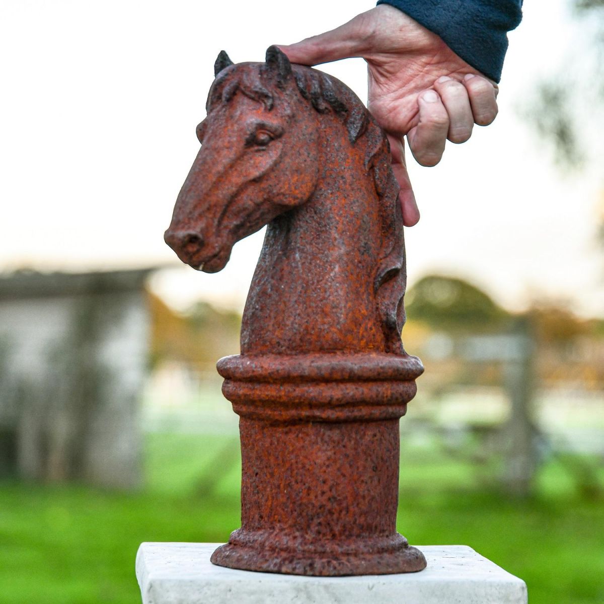 Cast Iron Horse Head Bust  Cast Iron Horse Head Bust