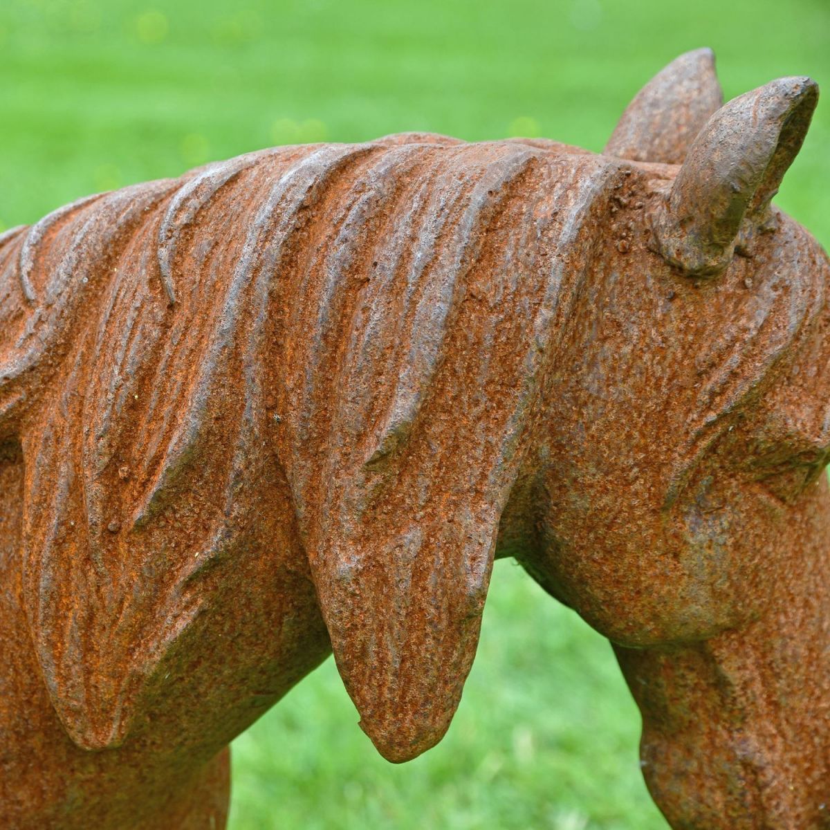 Side view of rustic miniature pony mane 