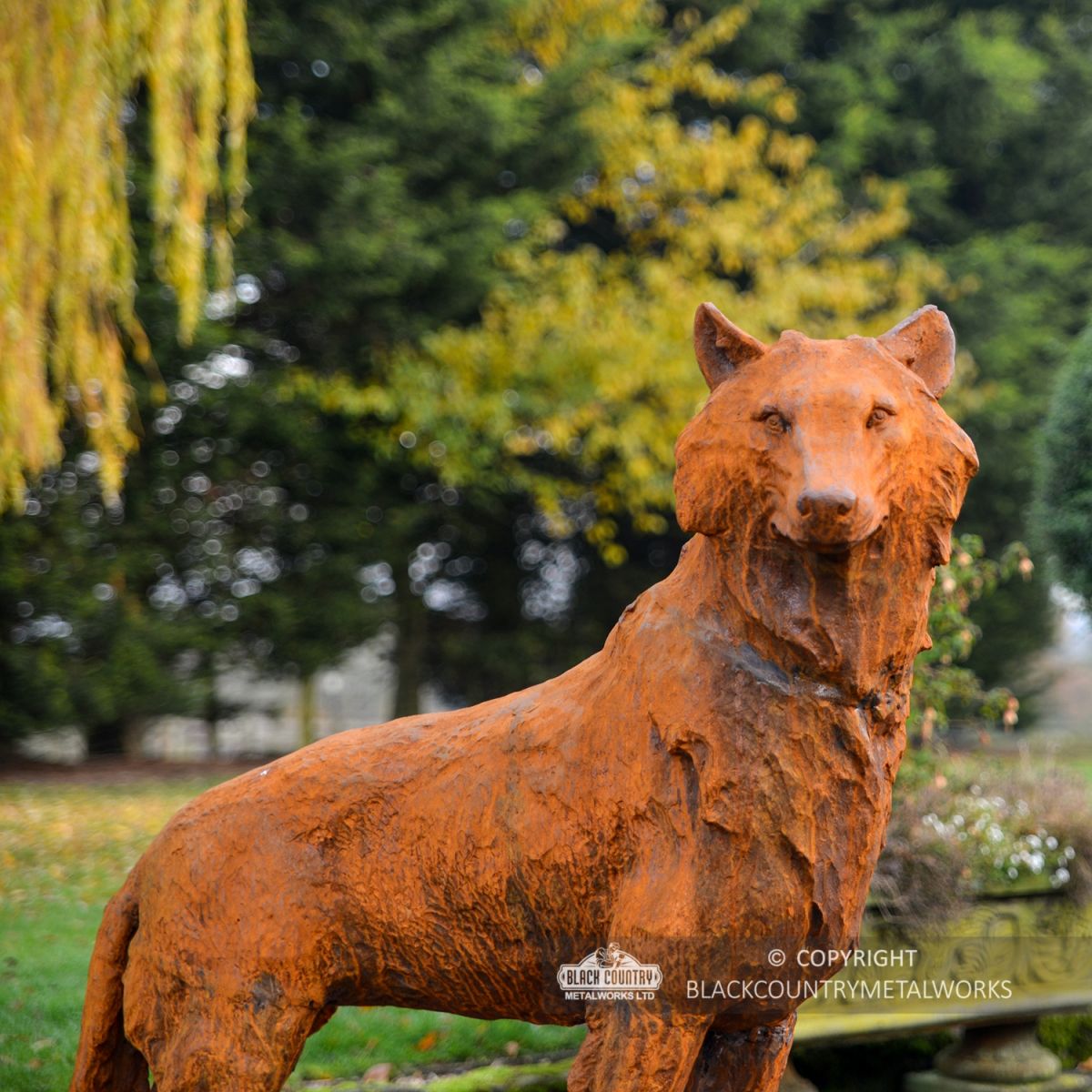 Rustic Cast Iron Wolf Sculpture "Surveying His Kingdom"