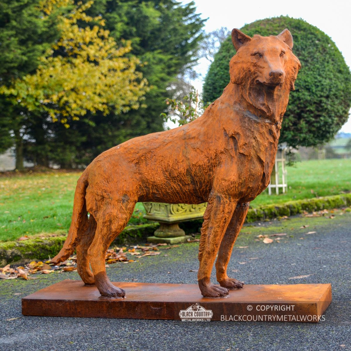 Rustic Cast Iron Wolf Sculpture "Surveying His Kingdom"