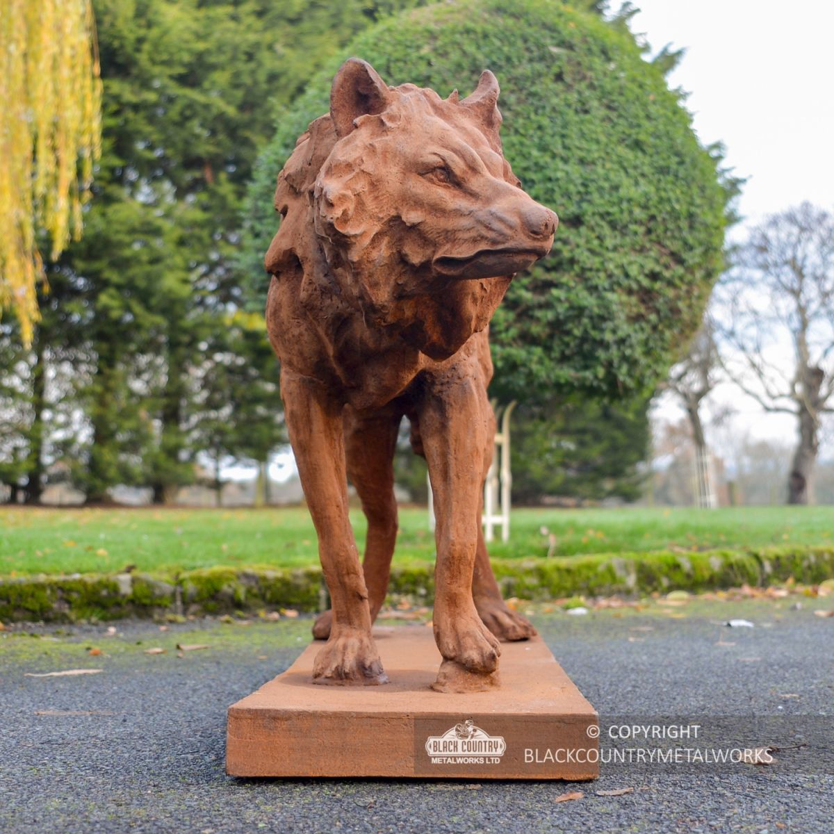 Front View of the "Creeping" Wolf Sculpture