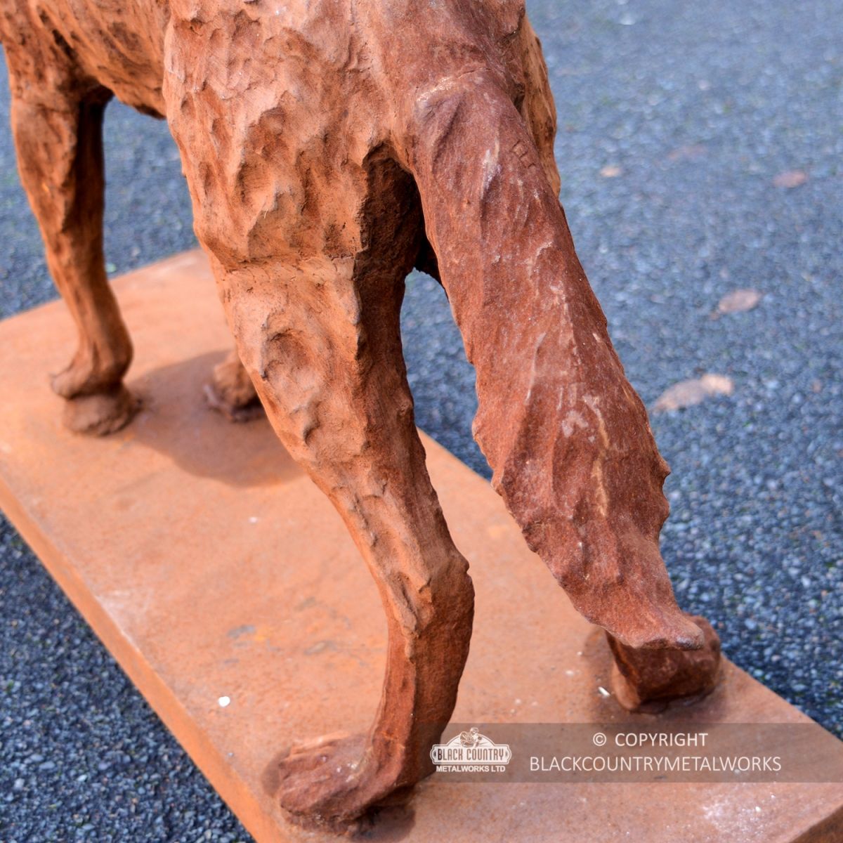 Close-up of the Tail on the Wolf