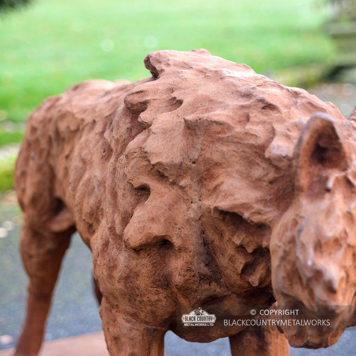 Close-up of the Detail on the Wolf"s Fur