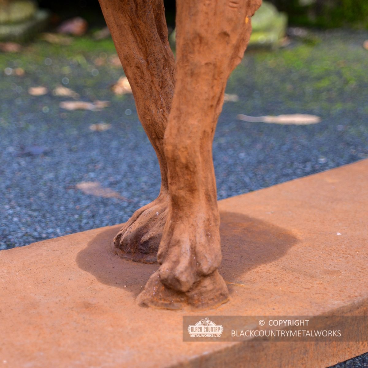 Close-up of the Wolf"s Feet