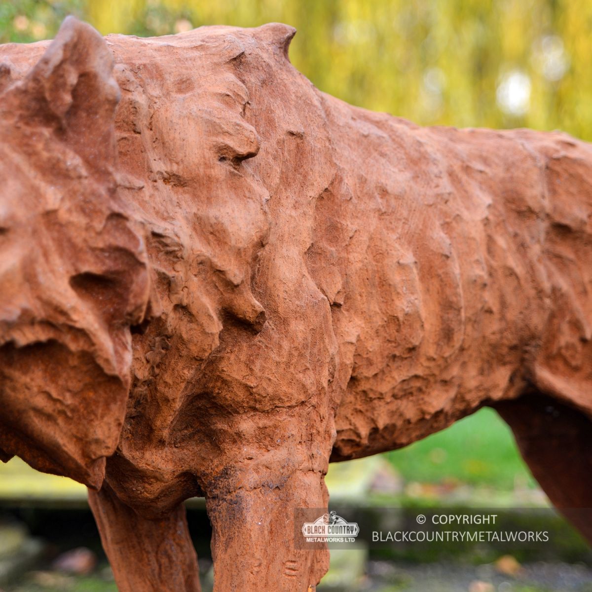 Close-up of the Detail on the Wolf"s Fur