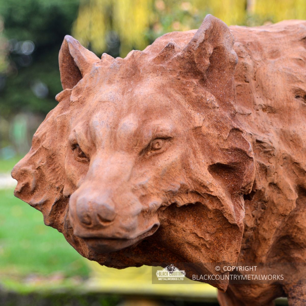 Close-up of the Wolf"s Face