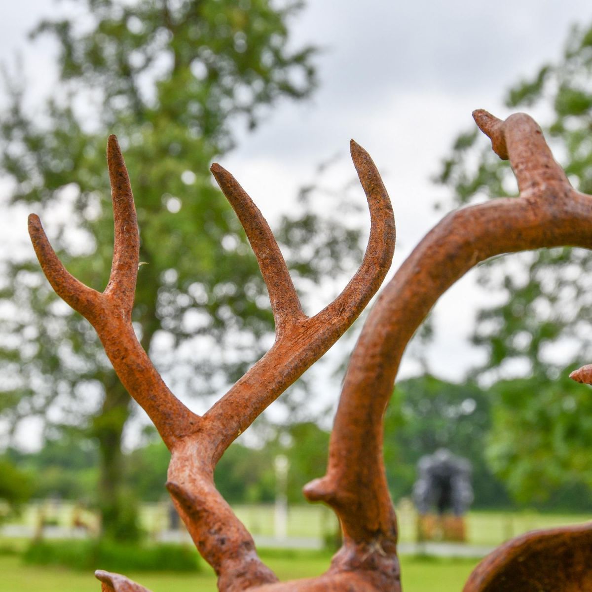 Close up of cast iron antlers 