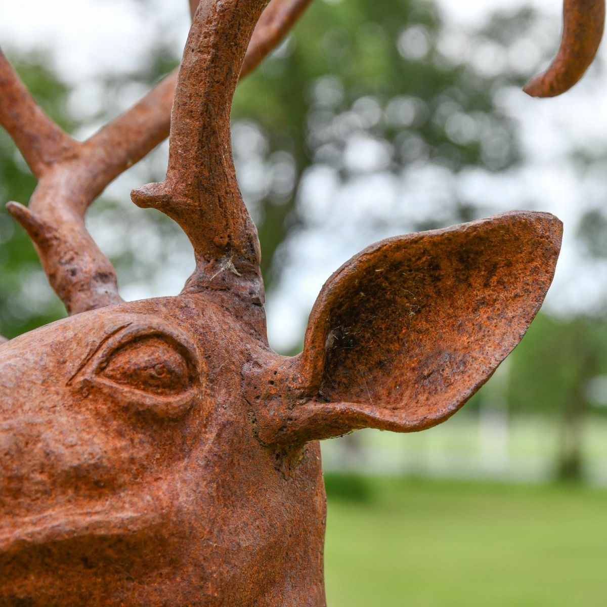 Close up of cast iron stag sculpture eat and antlers