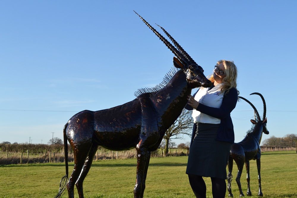 “Choroa Wilds” Oryx Sculpture