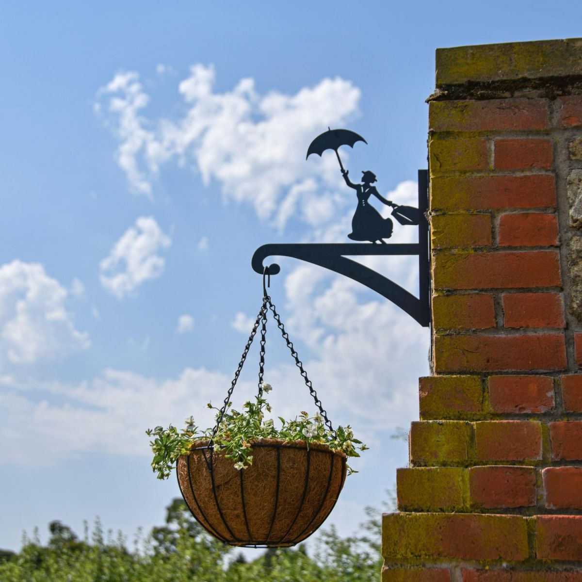 Coco-Lined Hanging Basket Planter