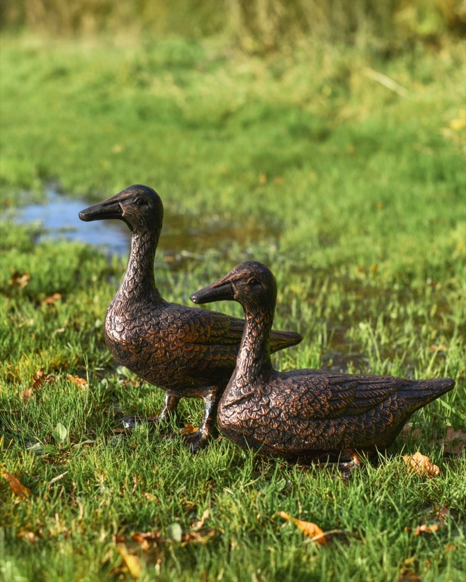 Pair of Cast Aluminium Sitting & Standing Ducks in a Bronze Finish