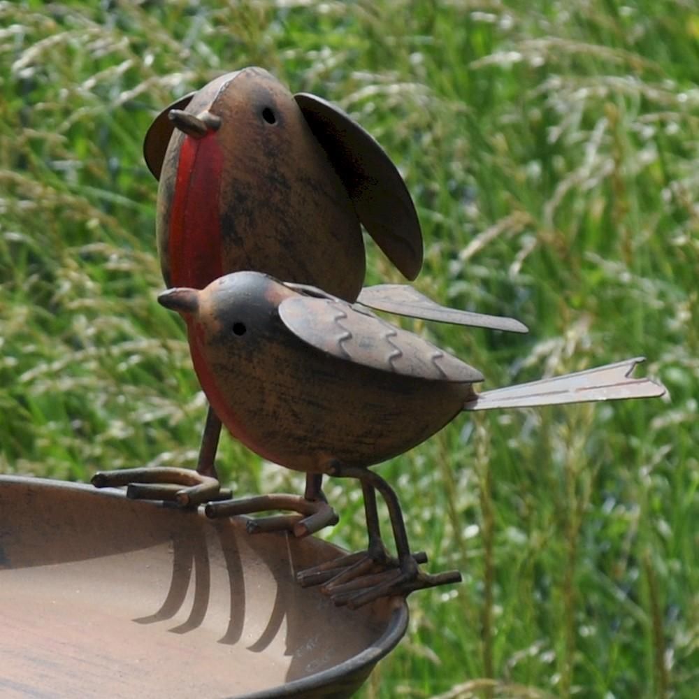 Close-up of the Robins Close-up of the Robins
