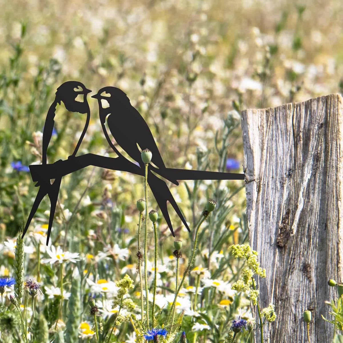 Black Pair of Swallows Steel Tree Spike in Situ Black Pair of Swallows Steel Tree Spike in Situ