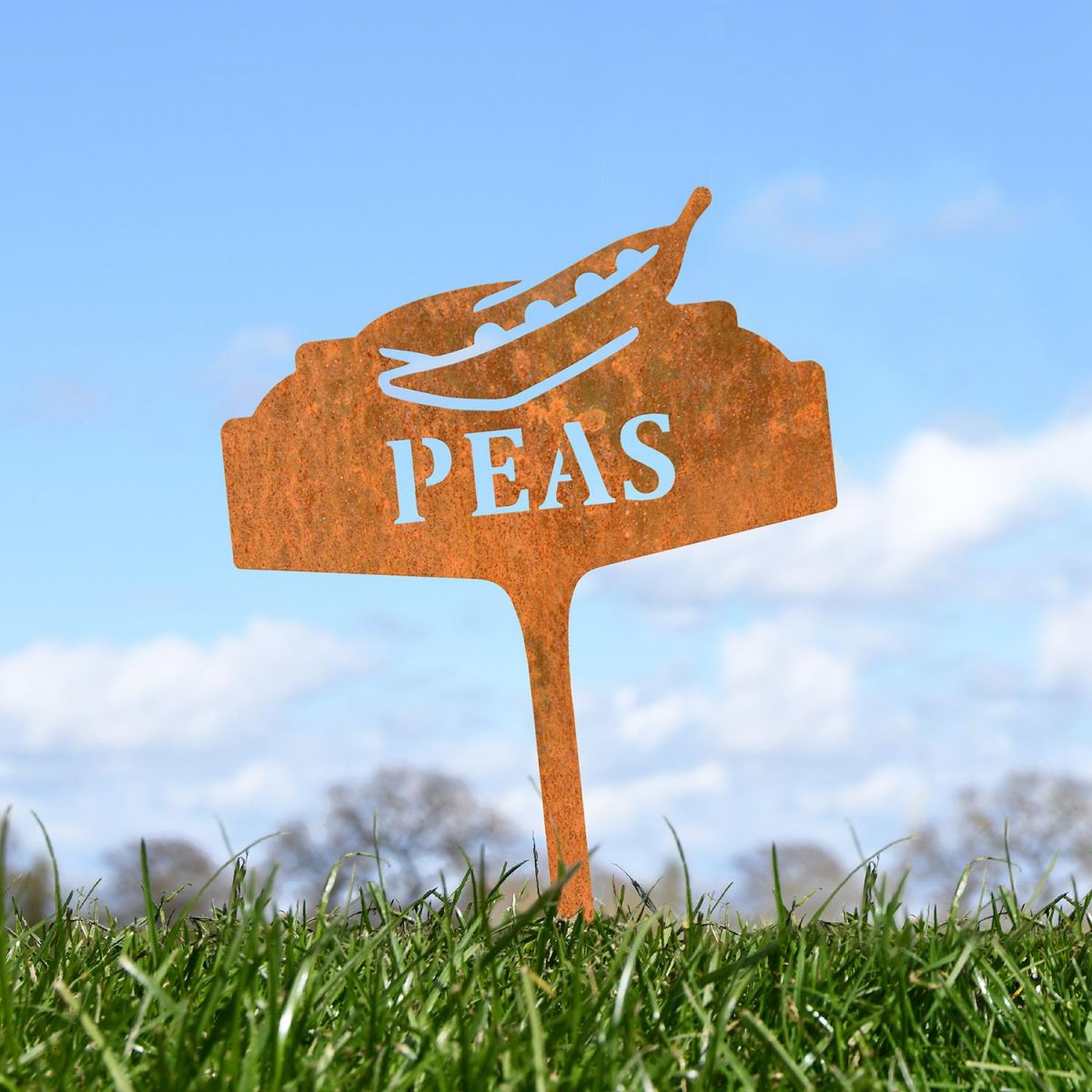 "Peas" Vegetable Label in Situ