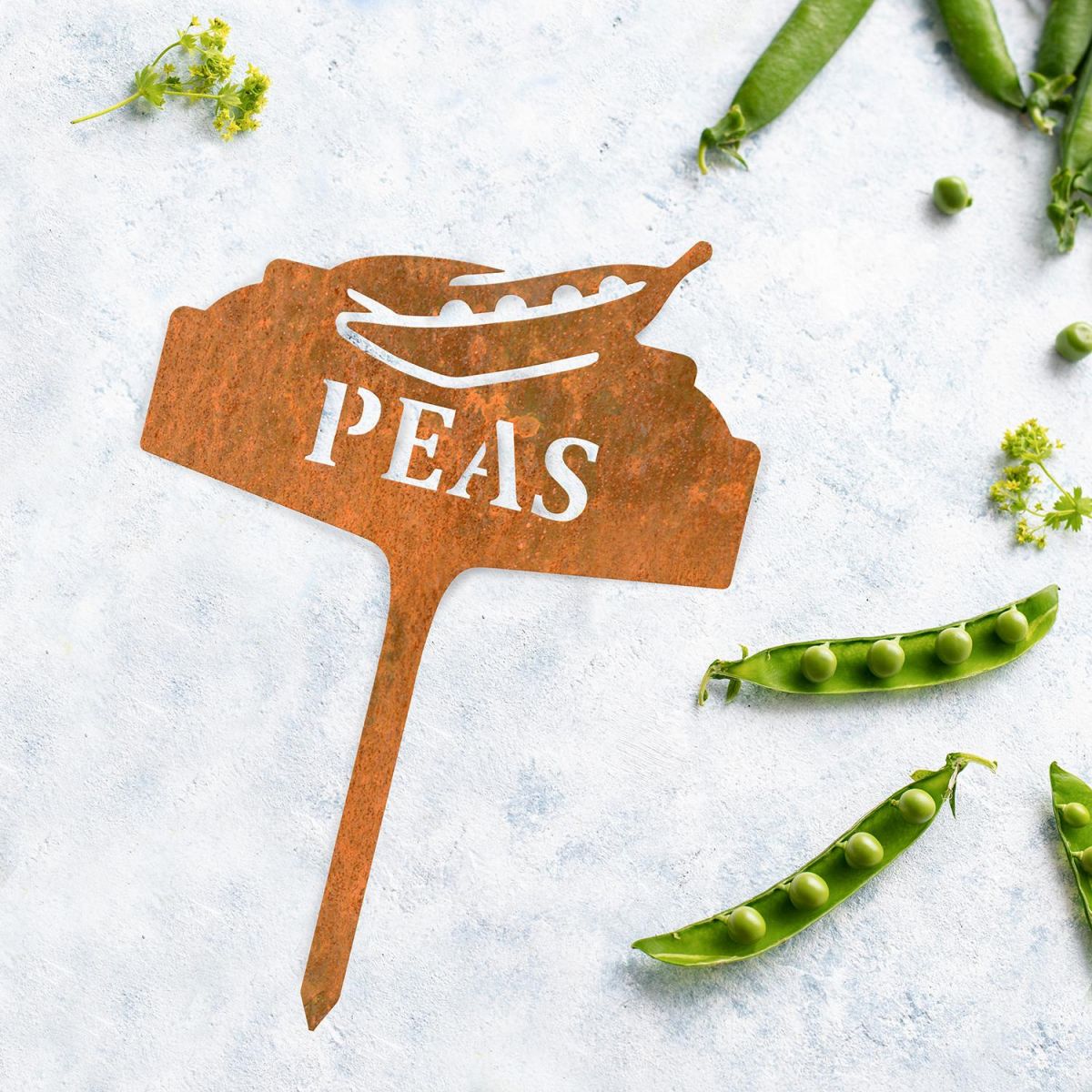 "Peas" Vegetable Label Created From Steel