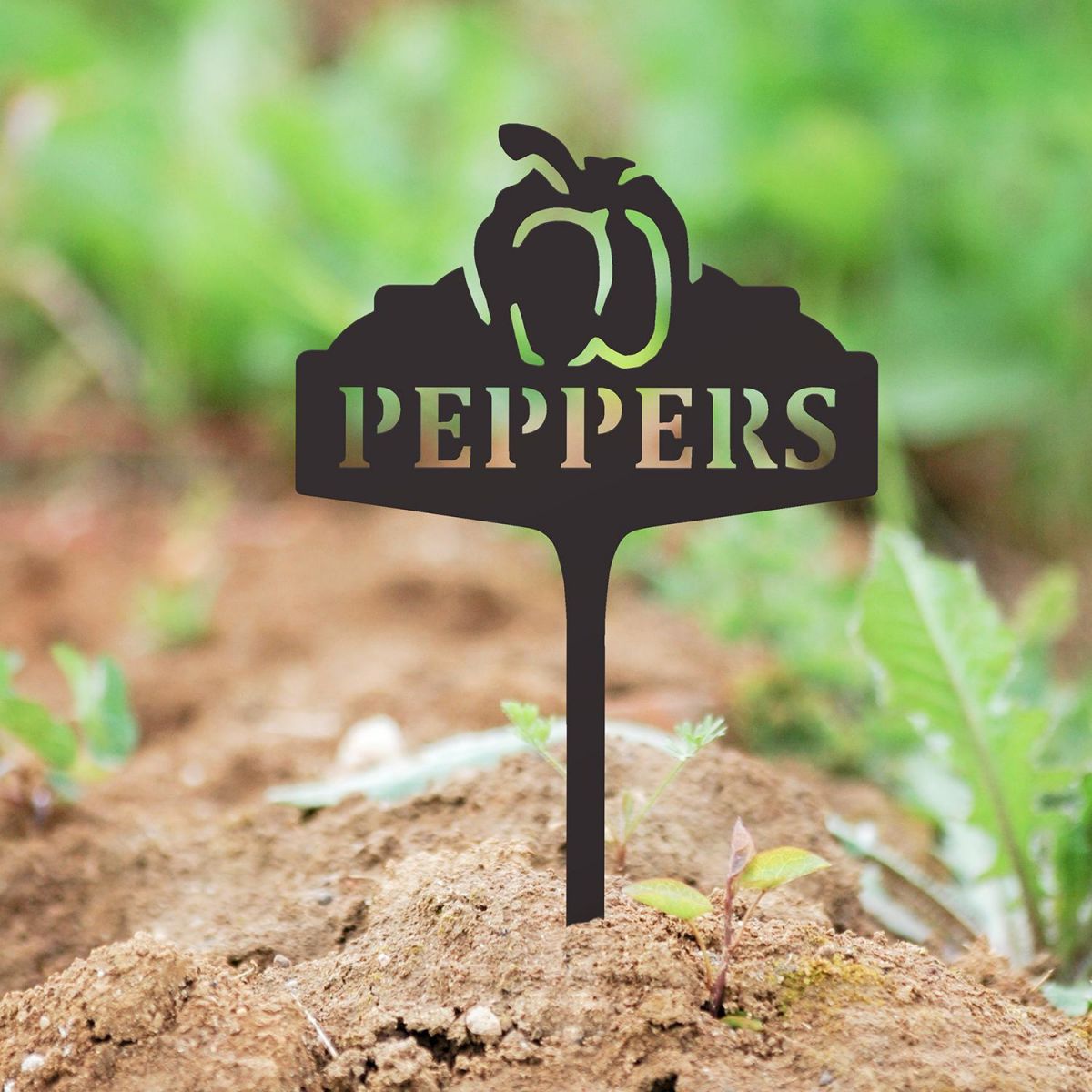 "Peppers" Vegetable Label in Situ in the Garden