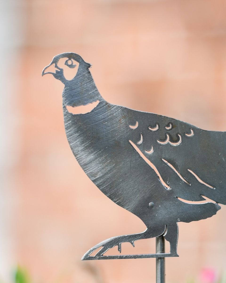 Pheasant Artistic Plant Pot Spike - Set of Two close up of head of pheasant