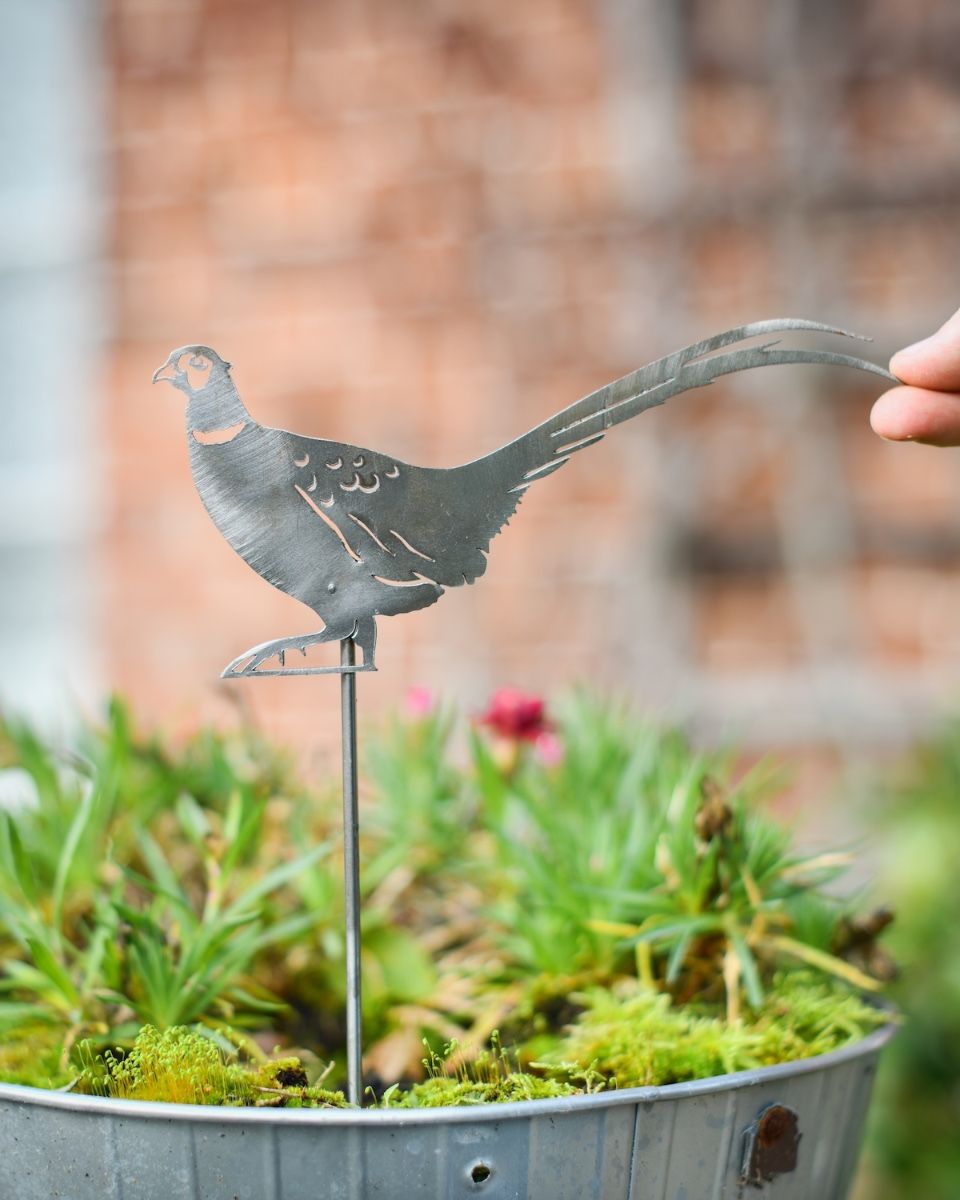 Pheasant Artistic Plant Pot Spike - Set of Two with hand in shot for scale