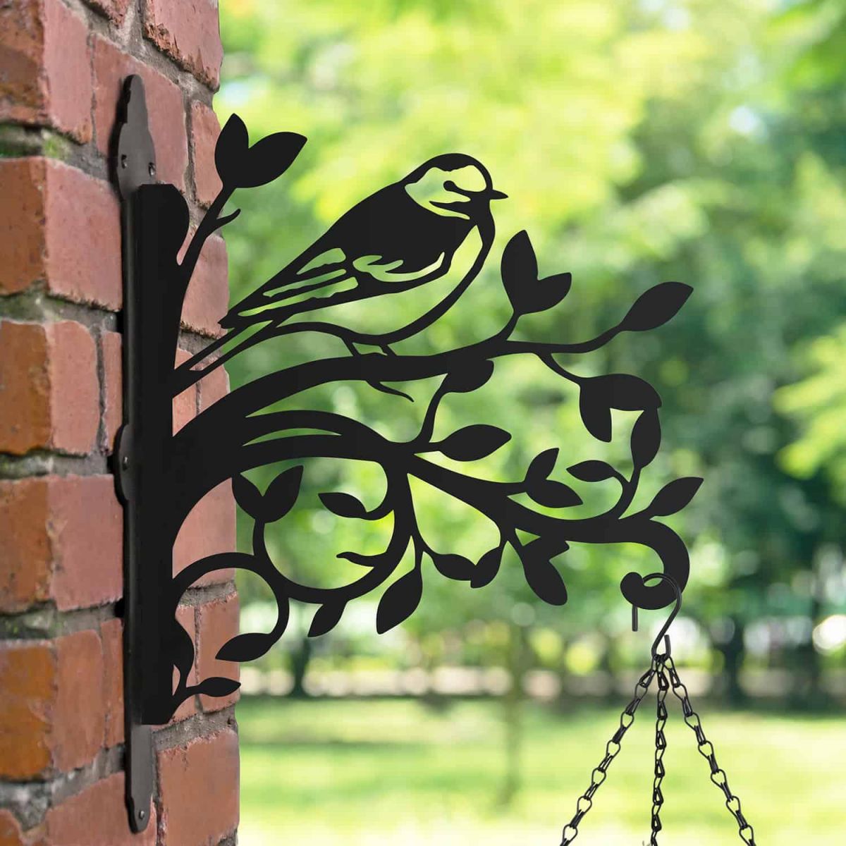 Pied Wagtail on Branches Steel Hanging Basket Bracket in Situ