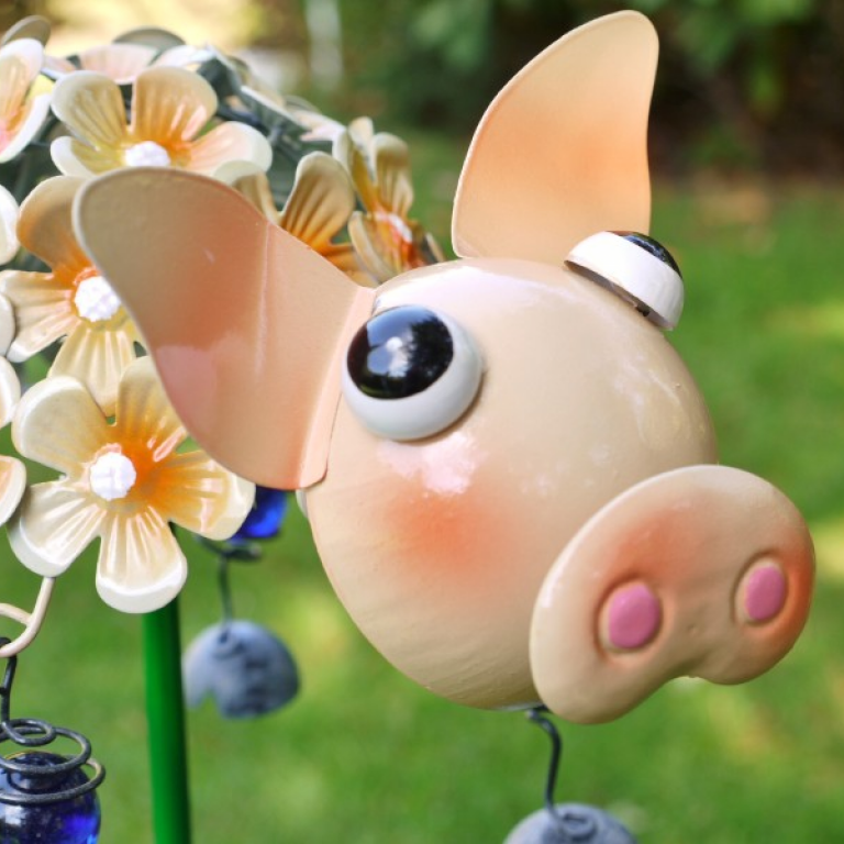 Close-up of the Face of the Pig