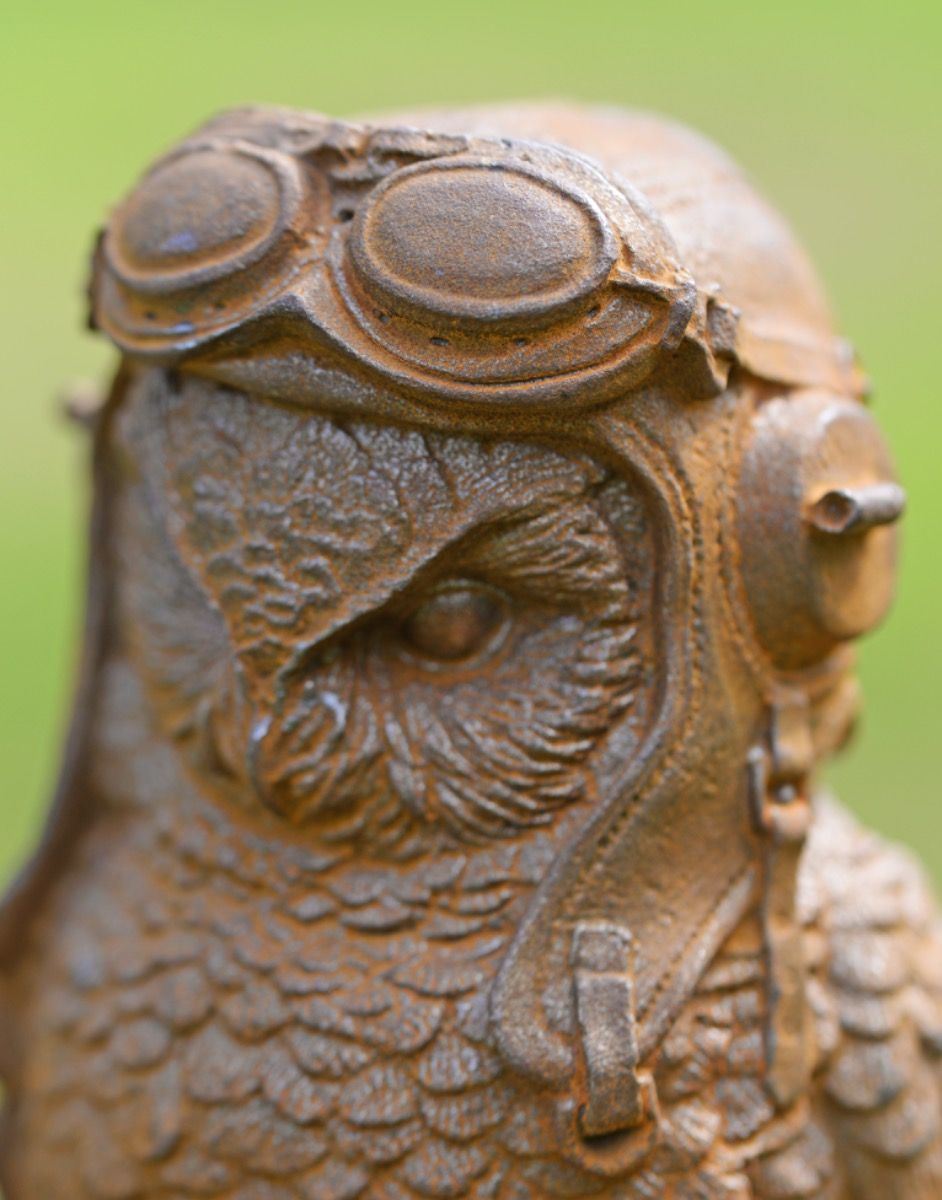 Close-up of Cast Iron Pilot Owl Sculpture