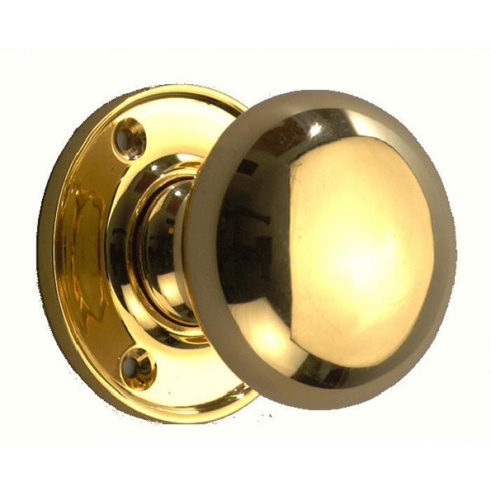 Polished Brass Door Handle