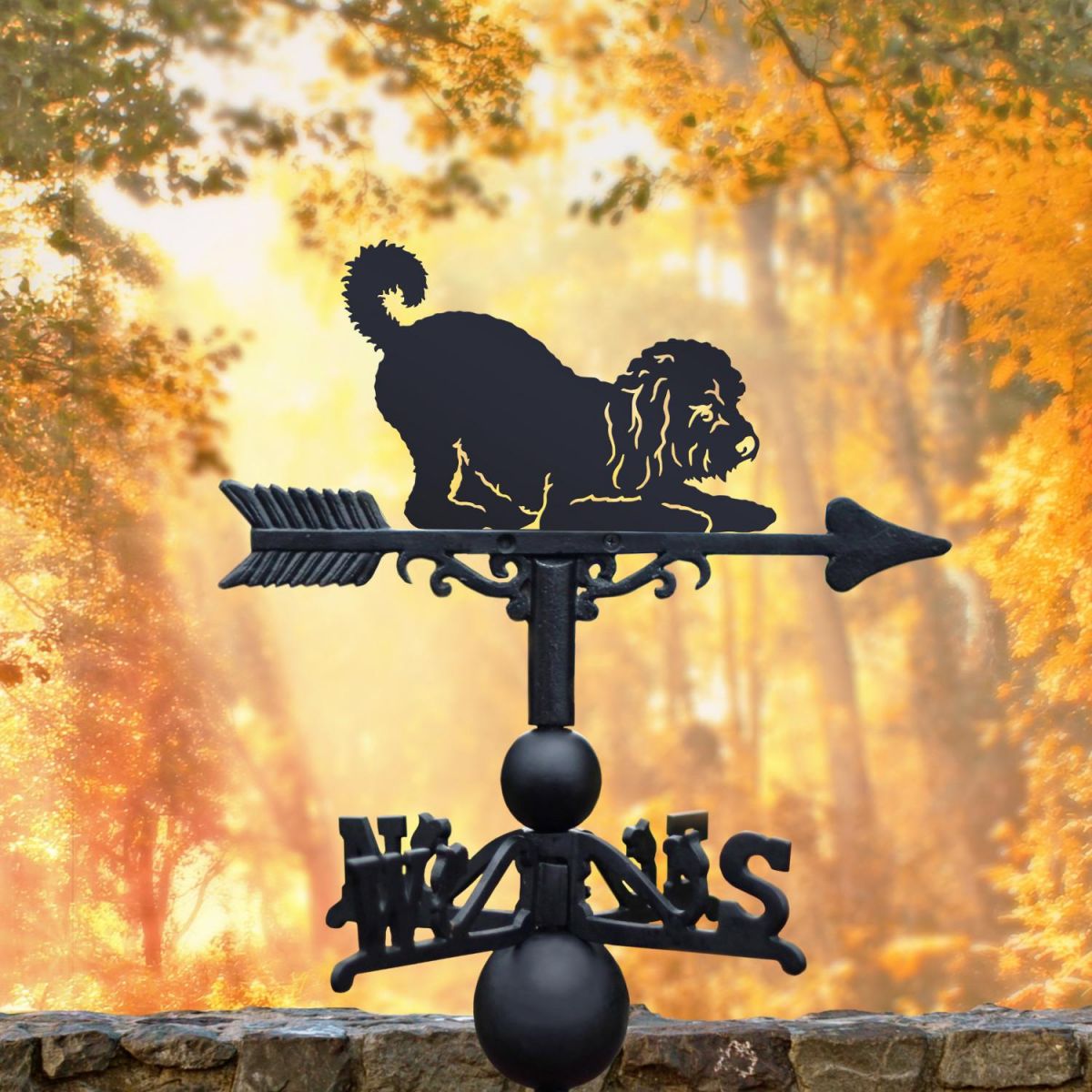 Playful Cockapoo Weathervane in Situ