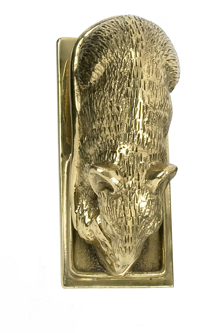 Polished Brass Dormouse Door Knocker