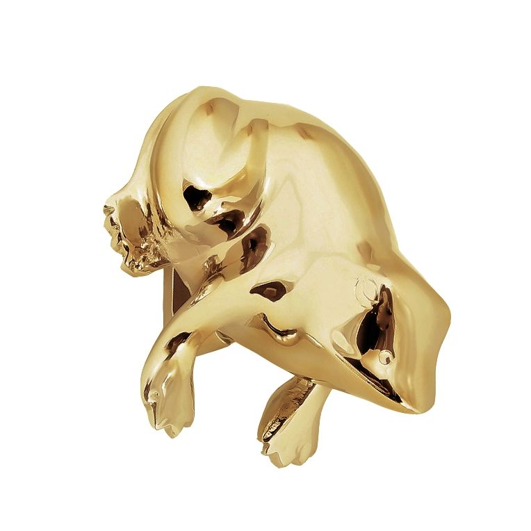 Polished Brass Frog Door Knocker