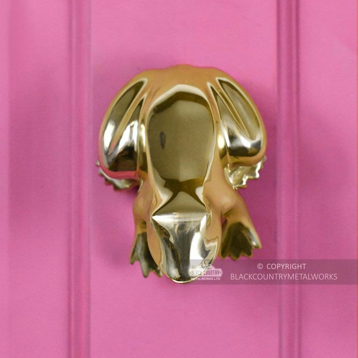 Polished Brass Frog Door Knocker Fitted Onto Pink Front Door